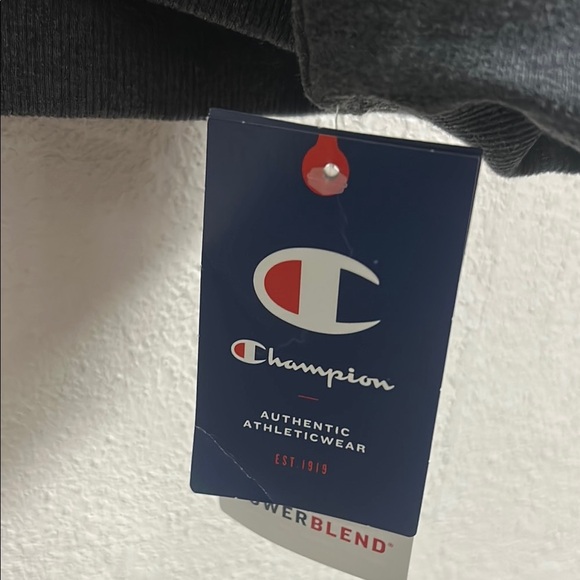 Champion Gray Pullover Hoodie with Relaxed Fit - Picture 2 of 5